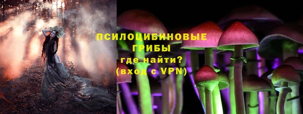 стаф Богородицк