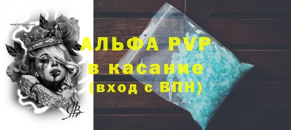 стаф Богородицк