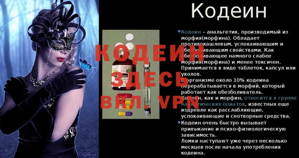 Альфа ПВП Белокуриха
