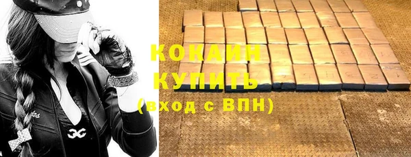 стаф Богородицк